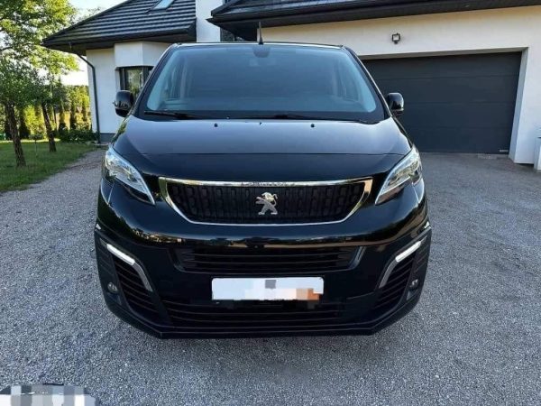 Peugeot Exper 2.0